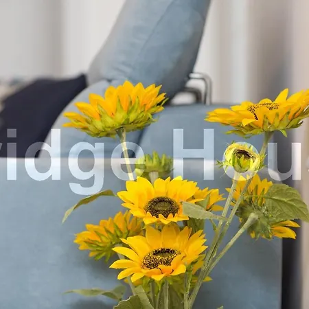 Bridge House 아파트 *